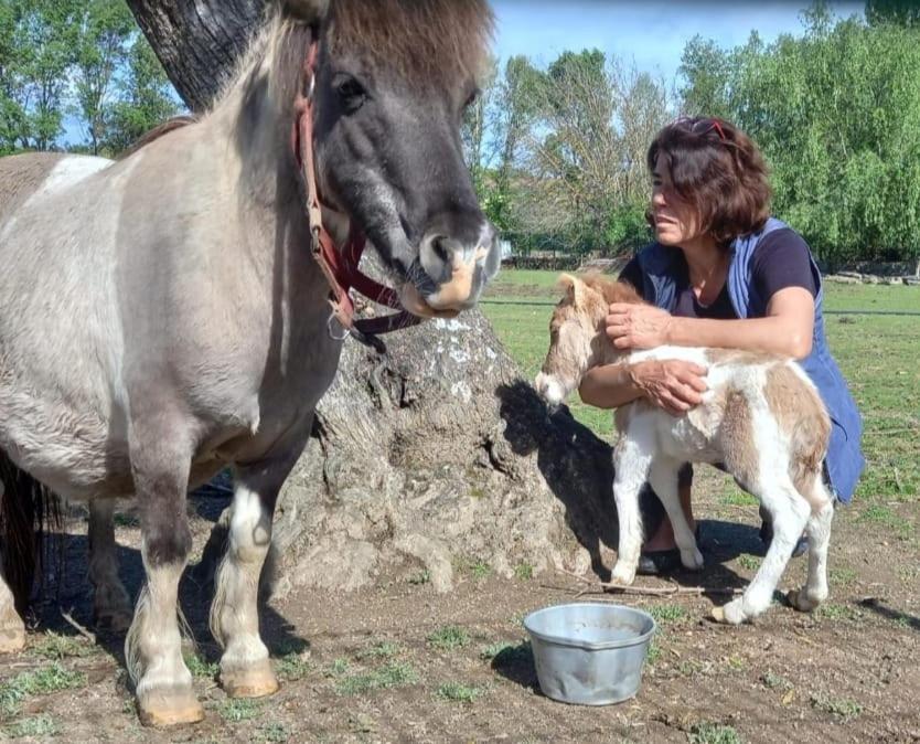 Arca Dos Animais - Farming & Spa Castelo Branco  Exterior foto